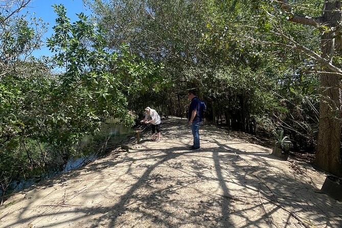 Private Experience at the National Aviary of Colombia - Pricing and Reviews