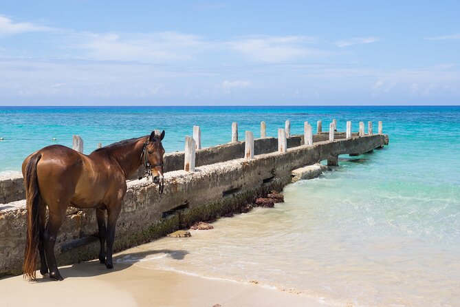 Private Experience Ocho Rios Horseback Riding, Rafting and ATV - Booking Your Stay