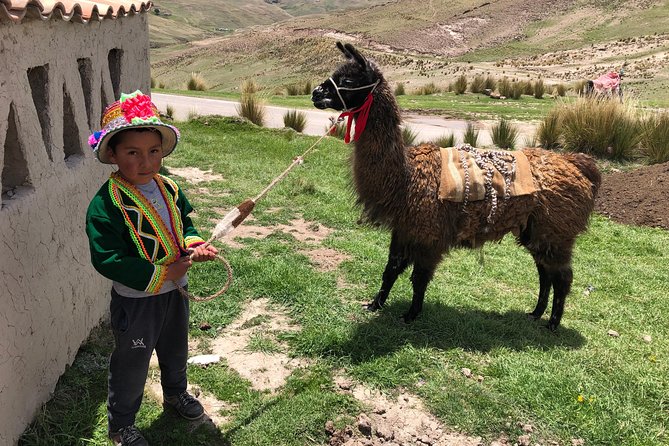 Private Experience Qeswachaka Community & Last Inca Bridge Day Trip From Cusco - Roundtrip Hotel Transfers and Accessibility