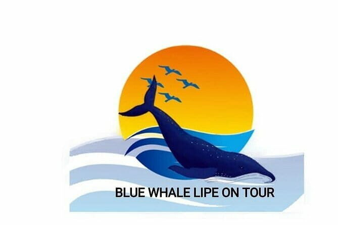 Private Experience with Fishing, Barbeque, Sashimi and Snorkeling - Introduction