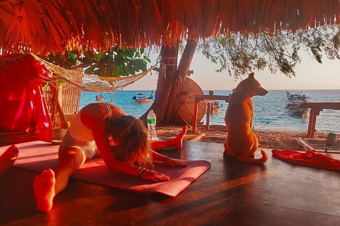 Private Experience with Fishing, Barbeque, Sashimi and Snorkeling - Snorkeling: Underwater Magic
