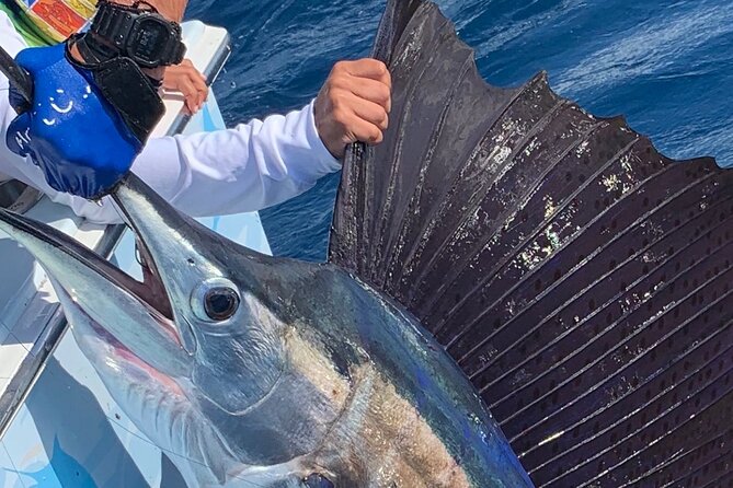 Private Extreme Fun Filled Deep Sea Charter Fishing Activity in Marathon, FL. - Reviews and Ratings