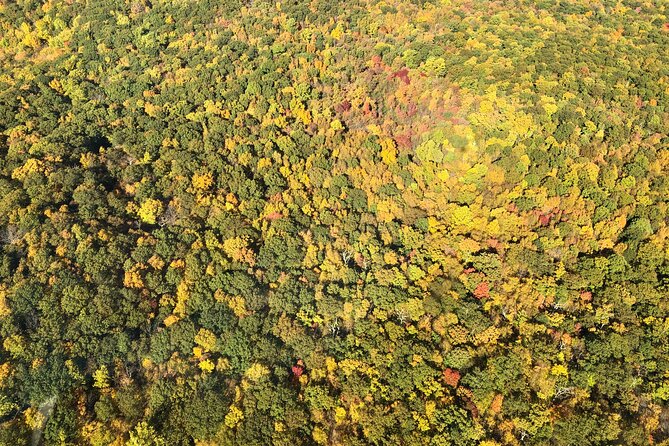 Private Fall Foliage Helicopter Tour for 2-6 From Westchester - Pricing and Booking
