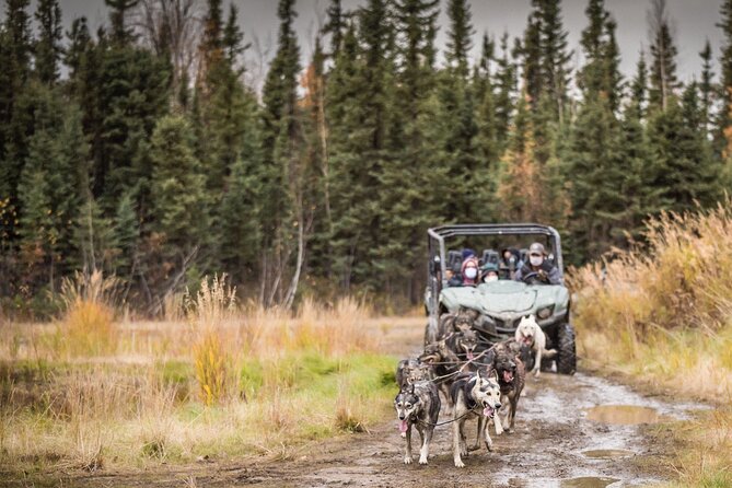 Private Fall Foliage Mushing Cart Ride in Fairbanks - Meeting Point