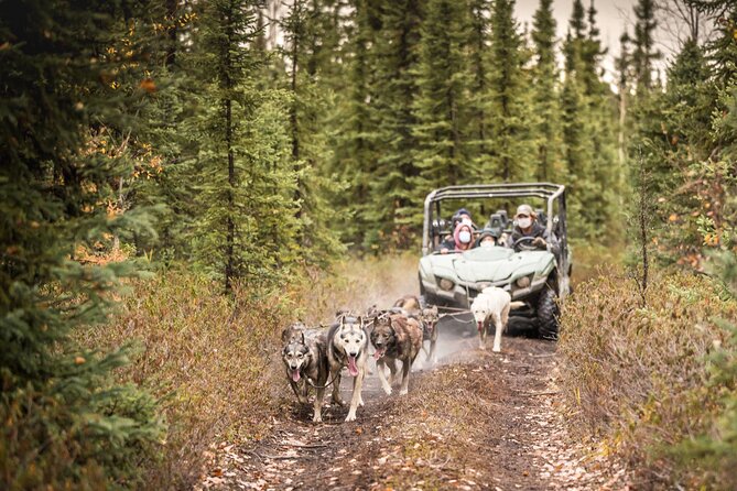 Private Fall Foliage Mushing Cart Ride in Fairbanks - Cancellation Policy