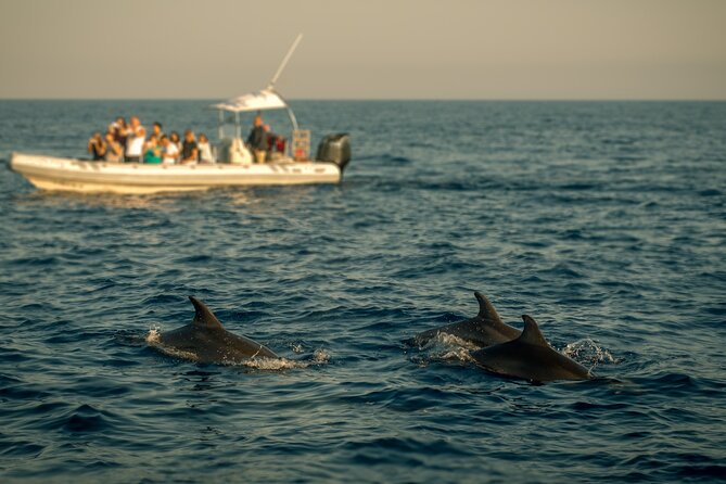 Private Family Dolphin Tour in Poreč - Tour Duration and Accessibility