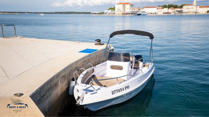 Private Family Dolphin Tour in Poreč - Inclusions
