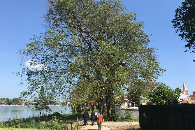 Private Family Tour of Hue Tombs and Countryside - Discovering Tu Duc Tomb