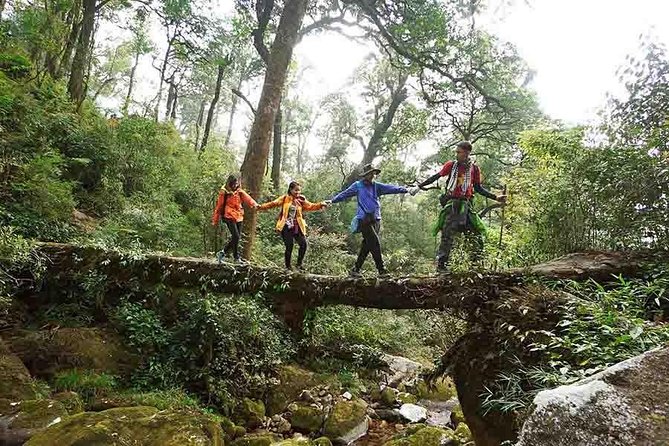 Private Fansipan Trekking Tour 2days 1night - Health and Fitness Requirements