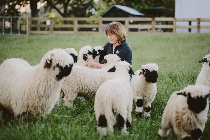 Private Farm Tour With Rose Creek Valais Blacknose Sheep - Booking Information