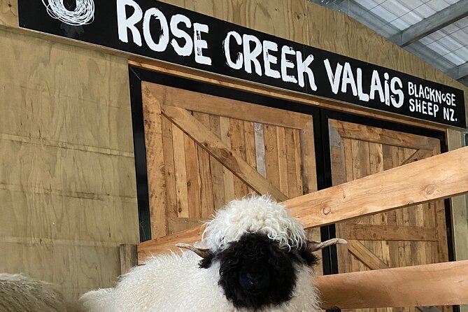 Private Farm Tour With Rose Creek Valais Blacknose Sheep - Hosts and Amenities