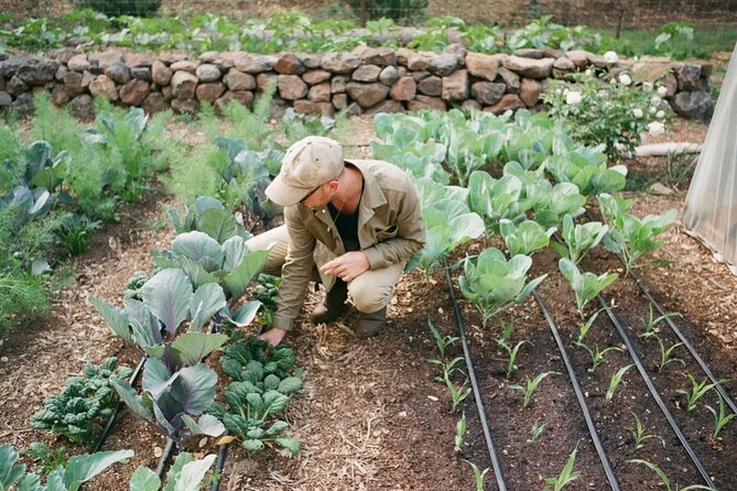 Private Farm Workshop in Napa Valley - Napa Valley Location