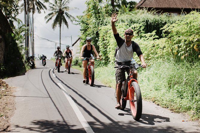 Private Fat Tire E-Bike Tour in Ubud - Inclusions