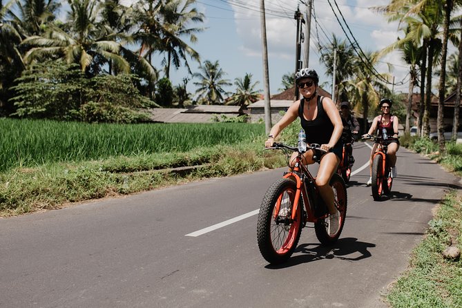 Private Fat Tire E-Bike Tour in Ubud - Activity Details