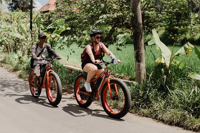 Private Fat Tire E-Bike Tour in Ubud - Cancellation and Policies
