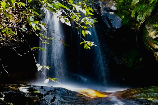 PRIVATE Featherdale Zoo Blue Mountains Scenic World in Luxury Car - Host Response and Commitment