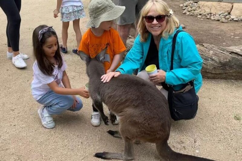 PRIVATE Featherdale Zoo Blue Mountains Scenic World Tour - Katoomba Scenic World Adventure