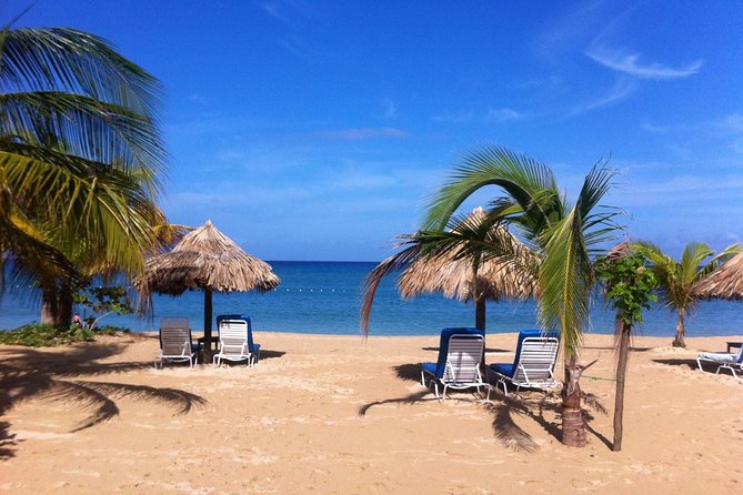 Private Fern Gully, Blue Hole and Bamboo Blu Beach Experience From Ocho Rios - About Your Stay