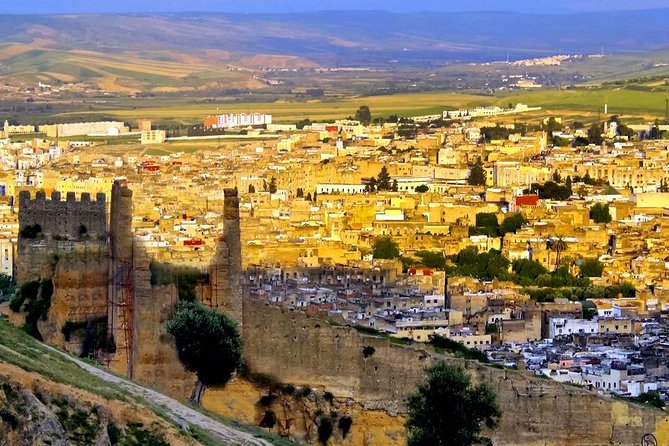 Private Fes Old Town Tour With Guide and Sightseeing With Driver - Highlights of the Tour