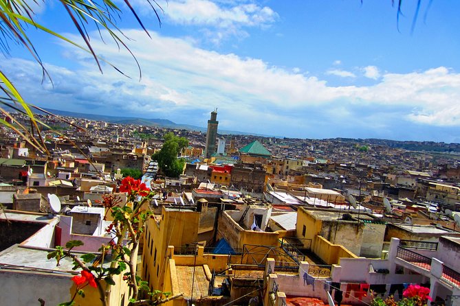 Private Fes Old Town Tour With Guide and Sightseeing With Driver - Traveler Reviews