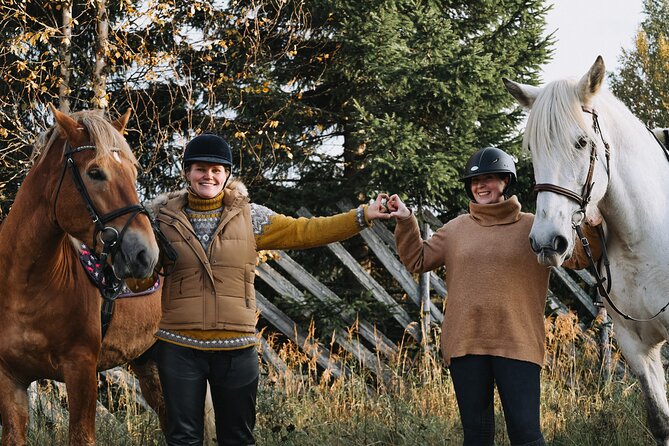 Private Finnhorse Riding in Rovaniemi, Finland With Guide - Location and Meeting Point Details