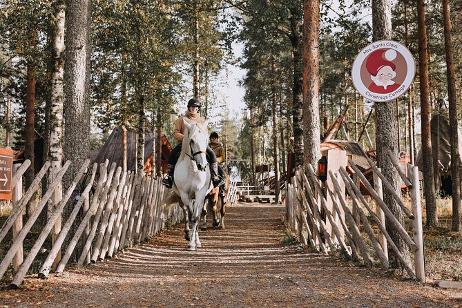 Private Finnhorse Riding in Rovaniemi, Finland With Guide - Whats Included in the Experience
