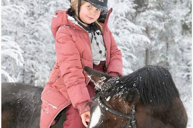 Private Finnhorse Riding in Rovaniemi, Finland With Guide - Accessibility and Participation Guidelines