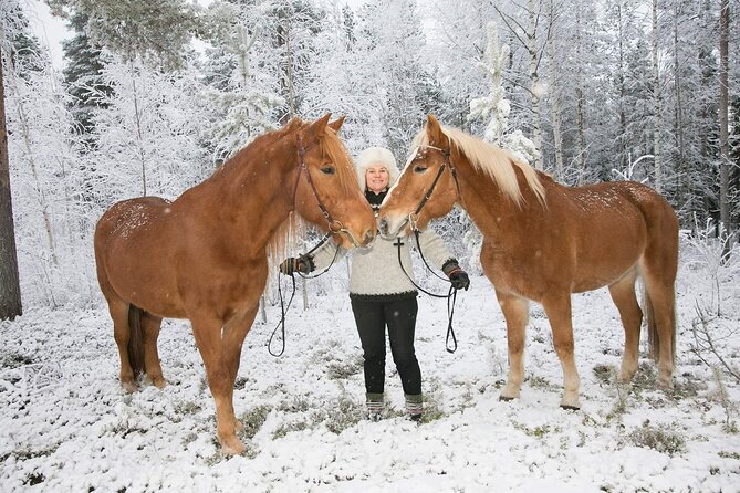 Private Finnhorse Riding in Rovaniemi, Finland With Guide - Booking and Pricing Information