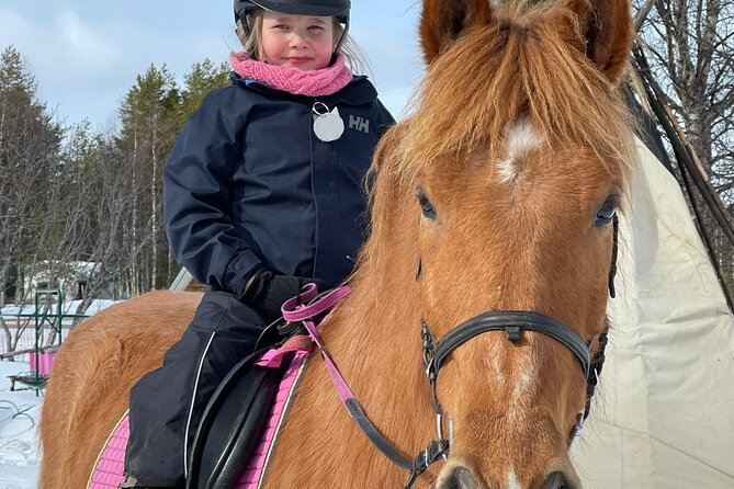 Private Finnhorse Riding in Rovaniemi, Finland With Guide - Highlights of the Riding Experience