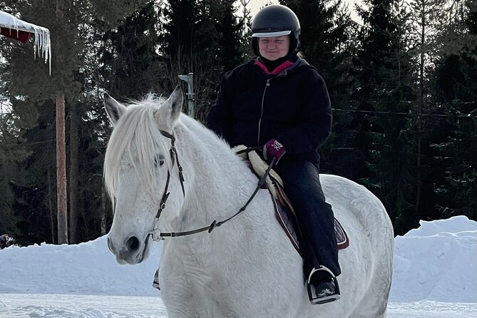 Private Finnhorse Riding in Rovaniemi, Finland With Guide - Preparing for the Finnhorse Ride
