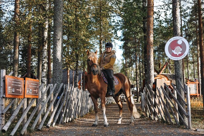Private Finnhorse Riding in Rovaniemi, Finland With Guide - Exploring the Aurora Horses Farm