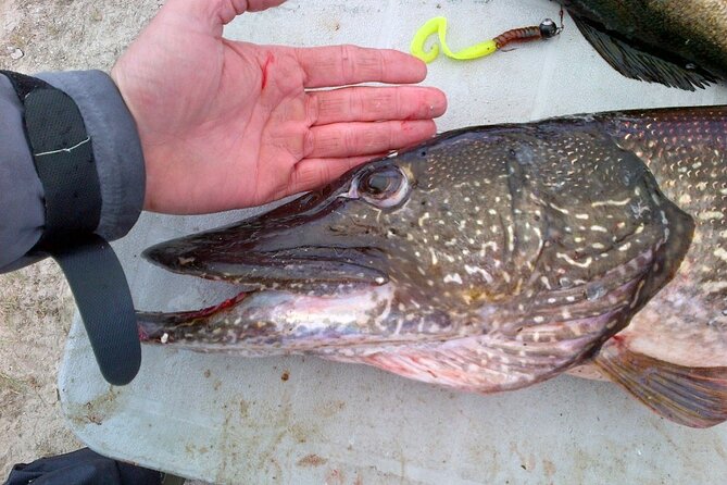 Private Fishing Adventure on the St. Lawrence River - Private and Exclusive Experience