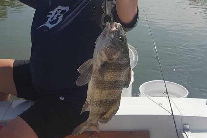 Private Fishing Boat Charters in Naples Bay and the Gulf - Angling Opportunities in Naples Bay and Gulf