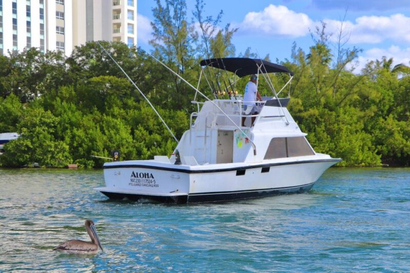 Private Fishing Charter 31 Feet for Maximun 6 People - Pricing and Options