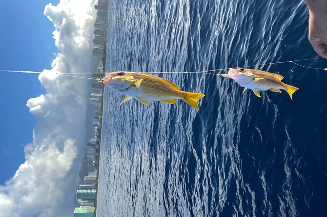 Private Fishing Charter for Family and Friends in Honolulu - Landmarks and Marine Life Viewing