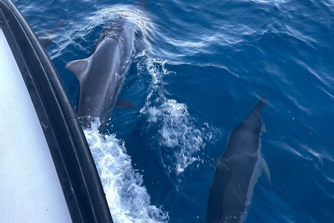 Private Fishing Charter for Family and Friends in Honolulu - Tour Schedules and Availability