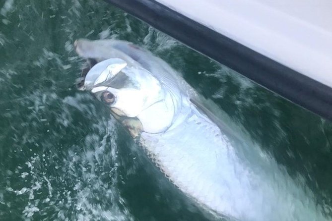 Private Fishing Charter From Ramrod Key - Species to Target