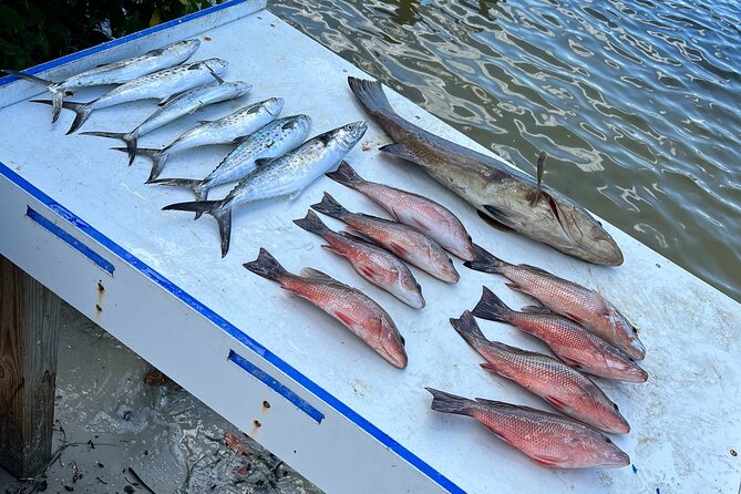 Private Fishing Charter in Tampa - Included Amenities and Gear