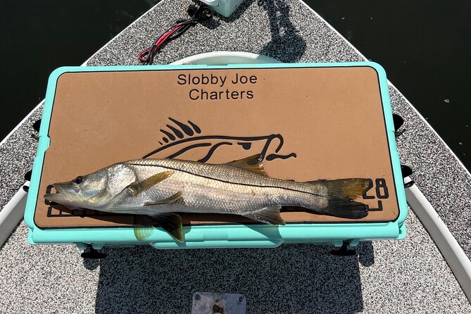 Private Fishing Charter in Tampa - Additional Tour Information