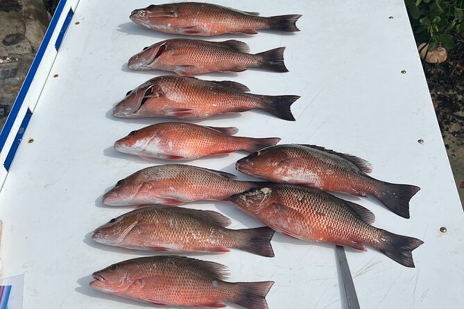 Private Fishing Charter in Tampa - Booking and Pricing Details