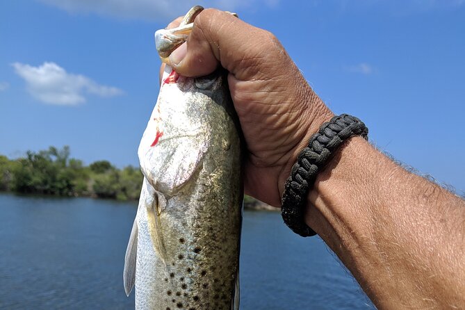 Private Fishing Charter on Tampa Bay and Its Backwaters - Booking Confirmation and Accessibility