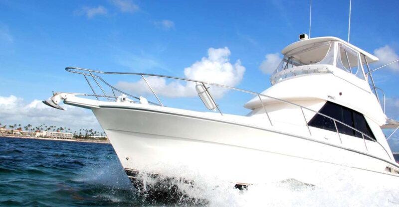 Private Fishing Charters Gone Dog 37 Boat Offshore Trip - Experience and Features