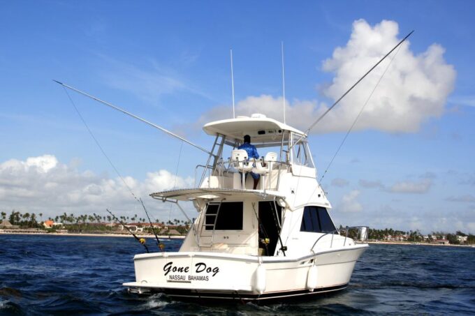 Private Fishing Charters Gone Dog 37 Boat Offshore Trip - Frequently Asked Questions