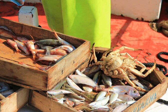Private Fishing Tour From Athens With A Traditional Fishing Boat - Tour Details