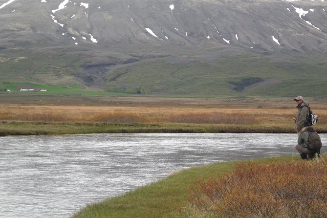 Private Fishing Tour From Reykjavik - Arctic Char and Brown Trout - Traveler Feedback