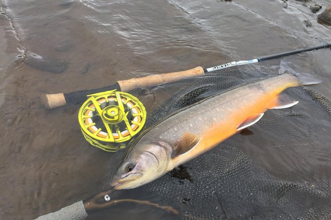 Private Fishing Tour From Reykjavik - Arctic Char and Brown Trout - Booking and Cancellation