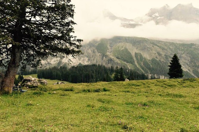 Private Fishing Trip in the Swiss Alps From Bern - Booking Details