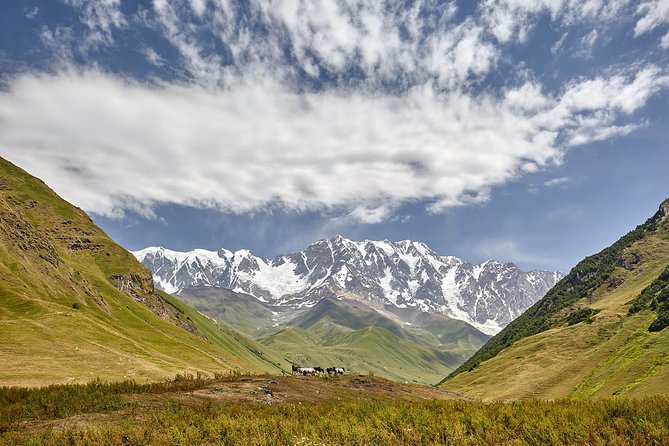 Private Five Days Tour to Svaneti-Mestia, Ushguli, Becho,Chalaadi - Scenic Activities