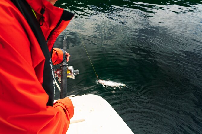 Private Fjord Cruise Modalen in Bergen - Customer Reviews and Ratings