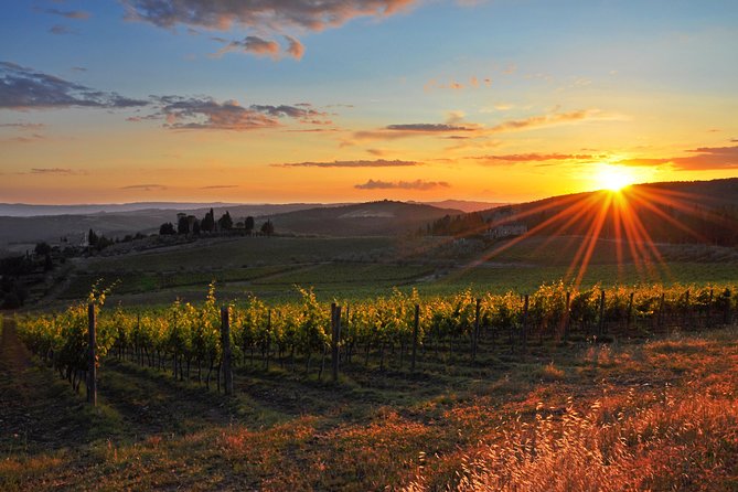 Private Florence and Chianti Wine Countryside From Pisa Including Wine Taste - Tuscan Winery Wine Tasting